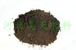 河北美天集團 以科技創新引領質高效生物有機肥料研發，助推綠色農業可持續發展